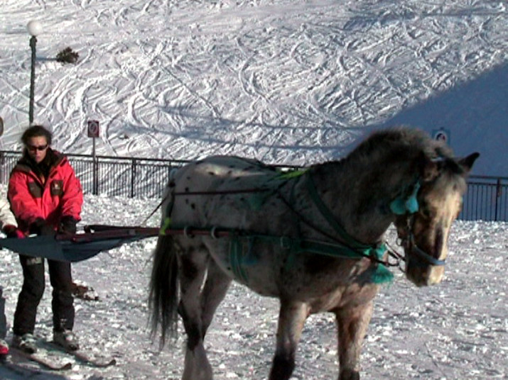 2005-02 ski 015.jpg